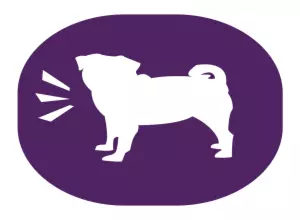 Bad Pug