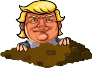 CuriousBo