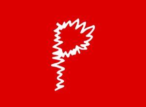 pasquiindustry