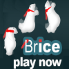 Brice on ice