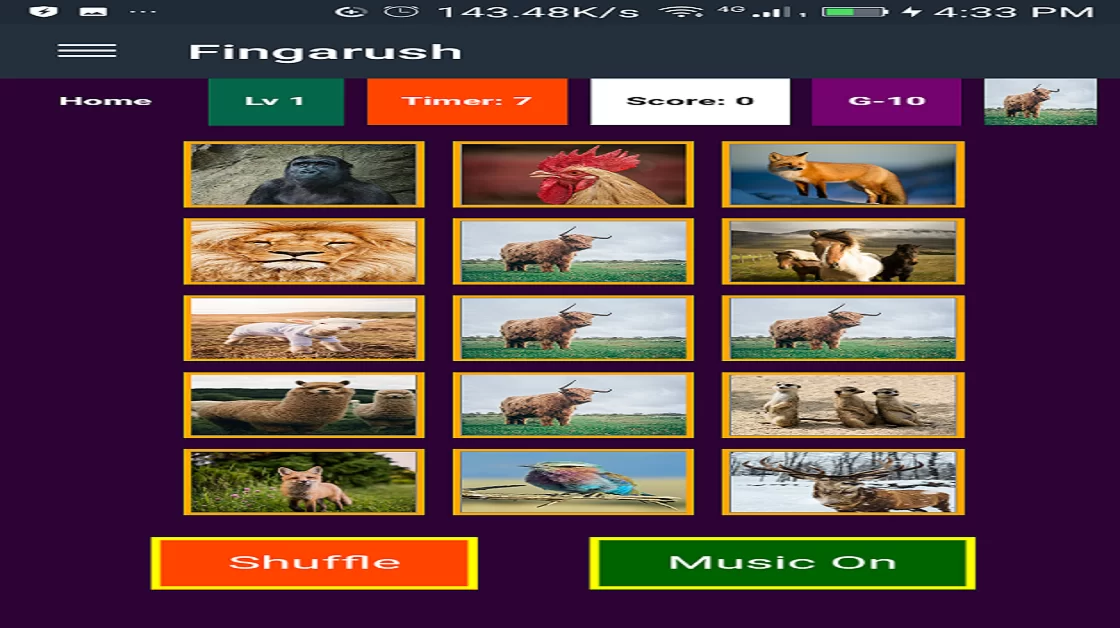 Fingarush