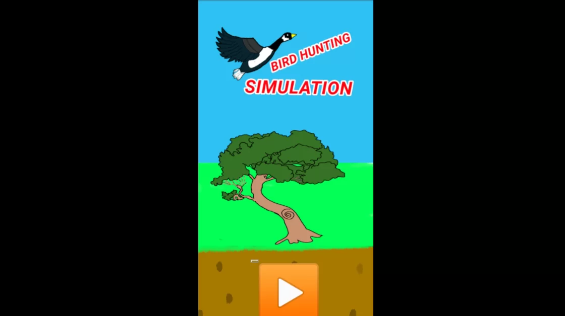 Bird Hunting Simulation