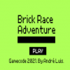 Brick race adventure