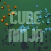 Cube Ninja