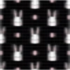 Brave rabbit.1