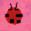 Coccinelle Points