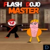 flash dojo master