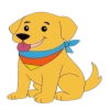 Teo Decorr