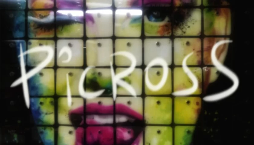 PICROSS no.2
