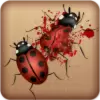 Ladybug Smasher