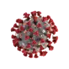 virus